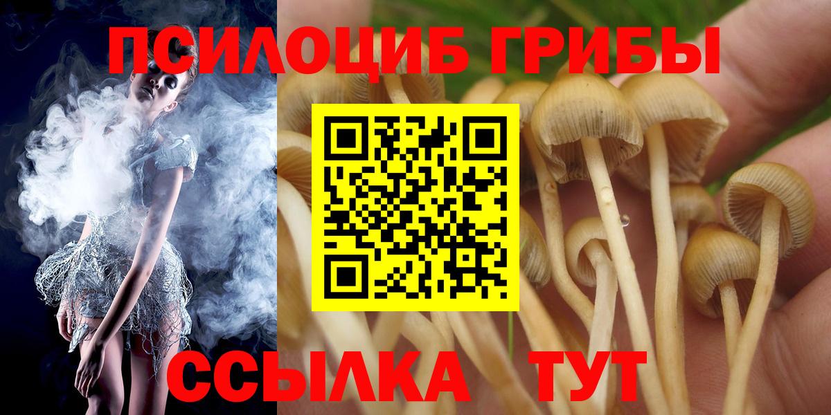 Псилоцибиновые грибы прущие грибы  Вход с VPN  Галлюциногенные грибы GOLDEN TEACHER  Сафоново 